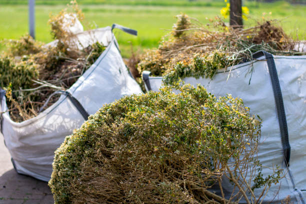 Best Residential Junk Removal  in Lyons, KS
